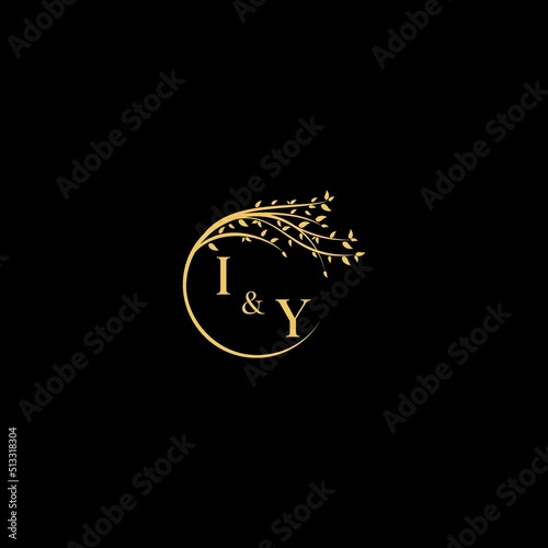 IY nature theme logo initial concept with high quality logo design photo