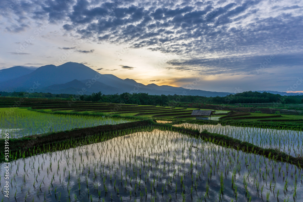 Morning view in beautiful rice fields with beautiful mountains and sky