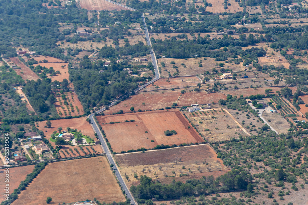 aerial view to fields and olive tree plantations at the island of Mallorca, Spain