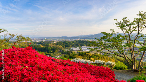 うららかな春の季節　絶景パノラマ風景(日輪寺つつじ公園)
Beautiful spring season with a panoramic view (Nichirinji Tsutsuji Park)
日輪寺は、赤穂浪士の遺髪塔があることで有名なお寺です。
芭蕉の碑や肥後三大銘鐘のひとつに数えられる楼門の鐘も見られます。
日本(春)2022年撮影
Japan (Spring)
九州・熊本県山鹿市 photo