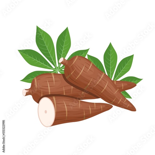 Vector illustration, cassava root (Manihot esculenta, also known as manioc) and leaves, isolated on white background, as a banner, poster or national tapioca day template.