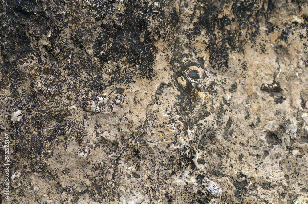 texture of stone texture of stone
