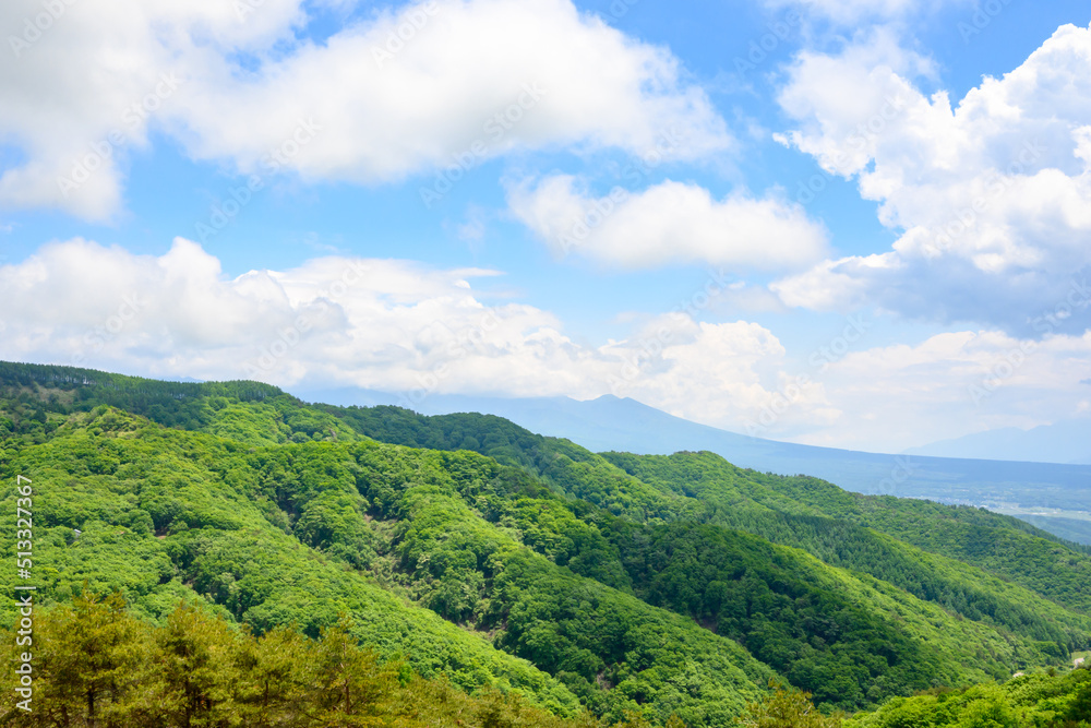 Obraz premium ビーナスラインからの眺め