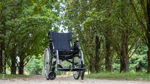 Wheelchair, on a path lined with trees, in the middle of a green park