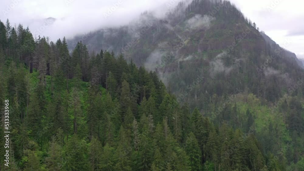 Rain clouds drift over the mountainous Columbia River Gorge in Oregon. The expanse of forests in this Pacific Northwest region thrive due to the geology, geography, and moist climate. Rain clouds drift over the mountainous Columbia River Gorge in Oregon. The expanse of forests in this Pacific Northwest region thrive due to the geology, geography, and moist climate.
