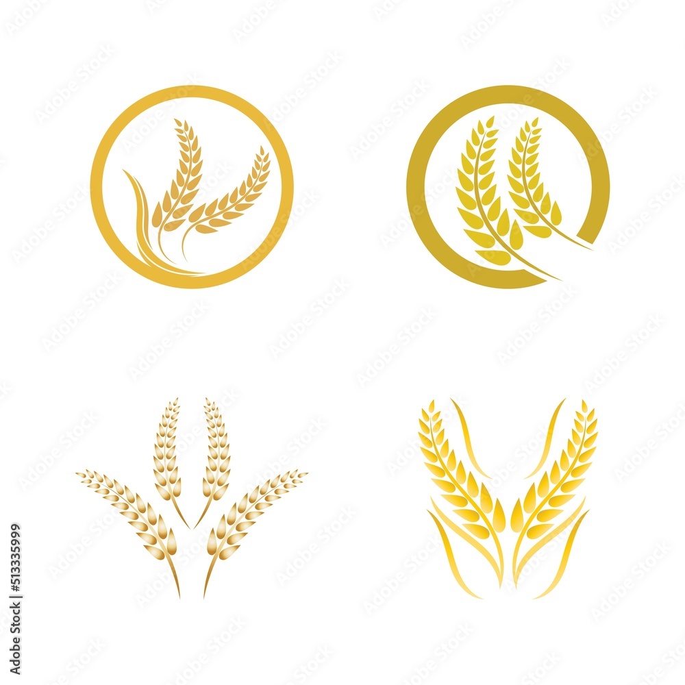 Wheat logo vector icon illustration Wheat logo vector icon illustration