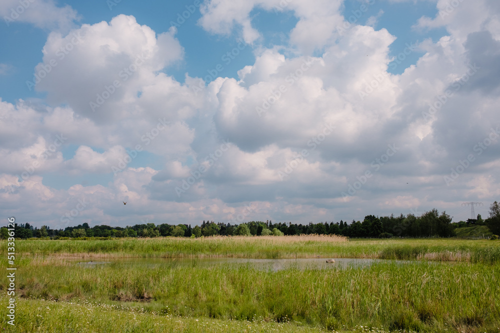 clouds over the open field