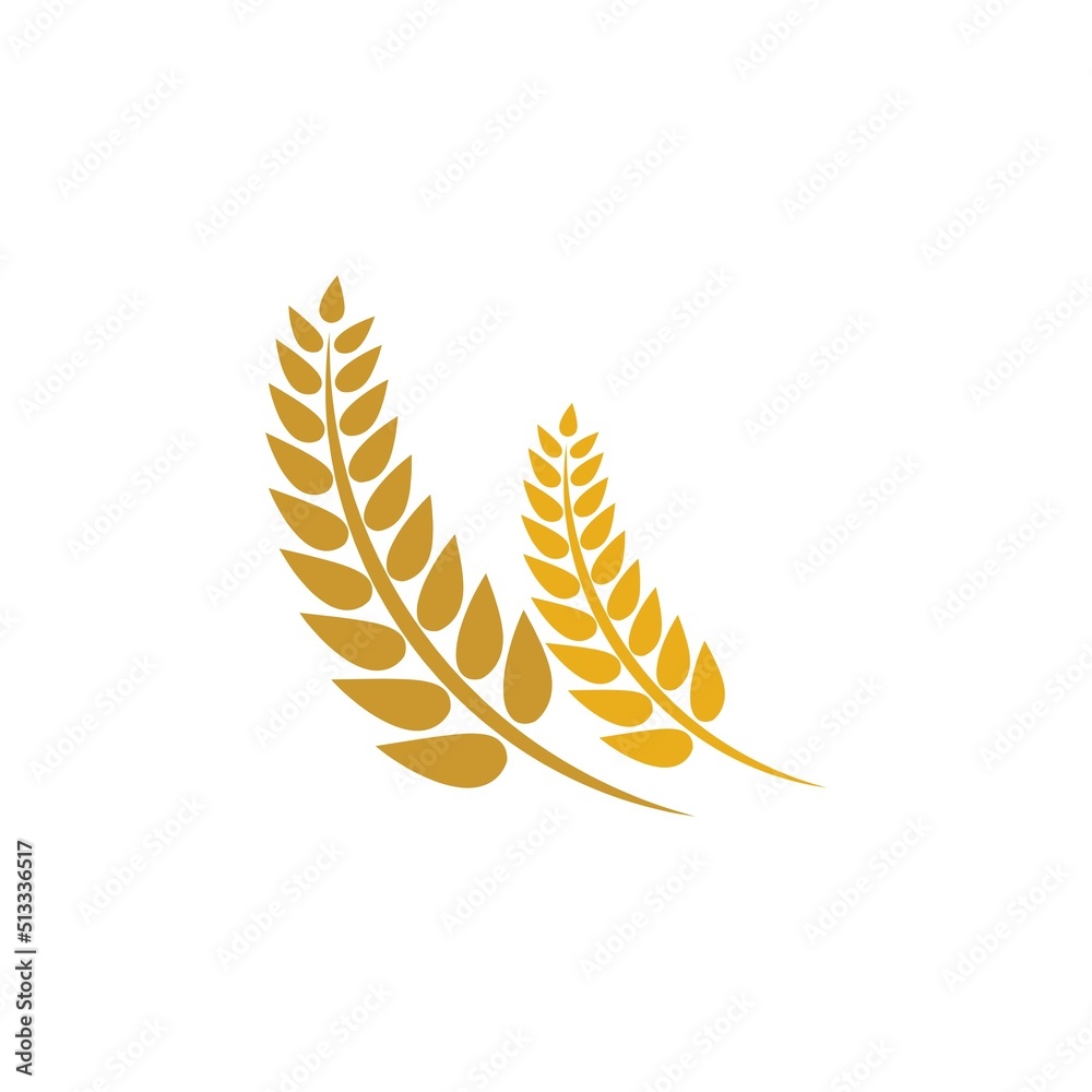Wheat logo vector icon illustration Wheat logo vector icon illustration