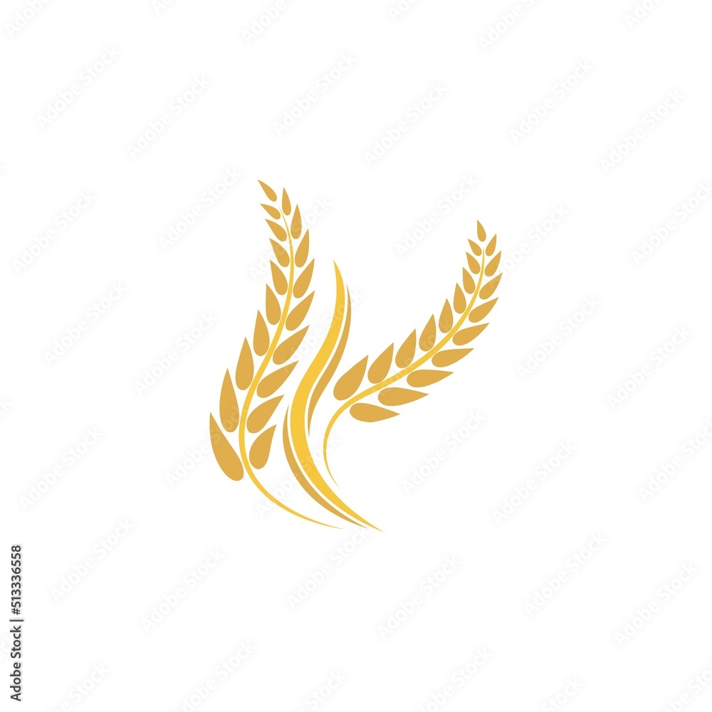 Wheat logo vector icon illustration Wheat logo vector icon illustration