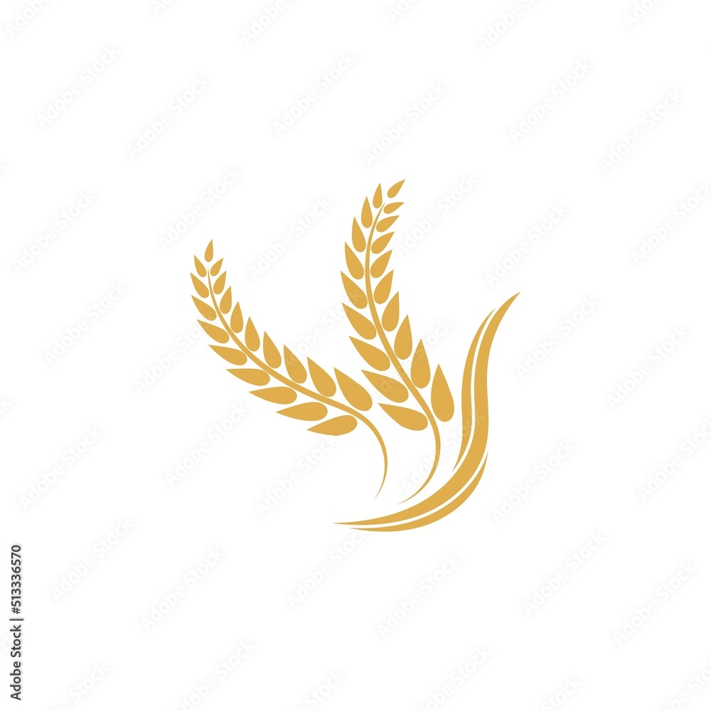 Wheat logo vector icon illustration Wheat logo vector icon illustration