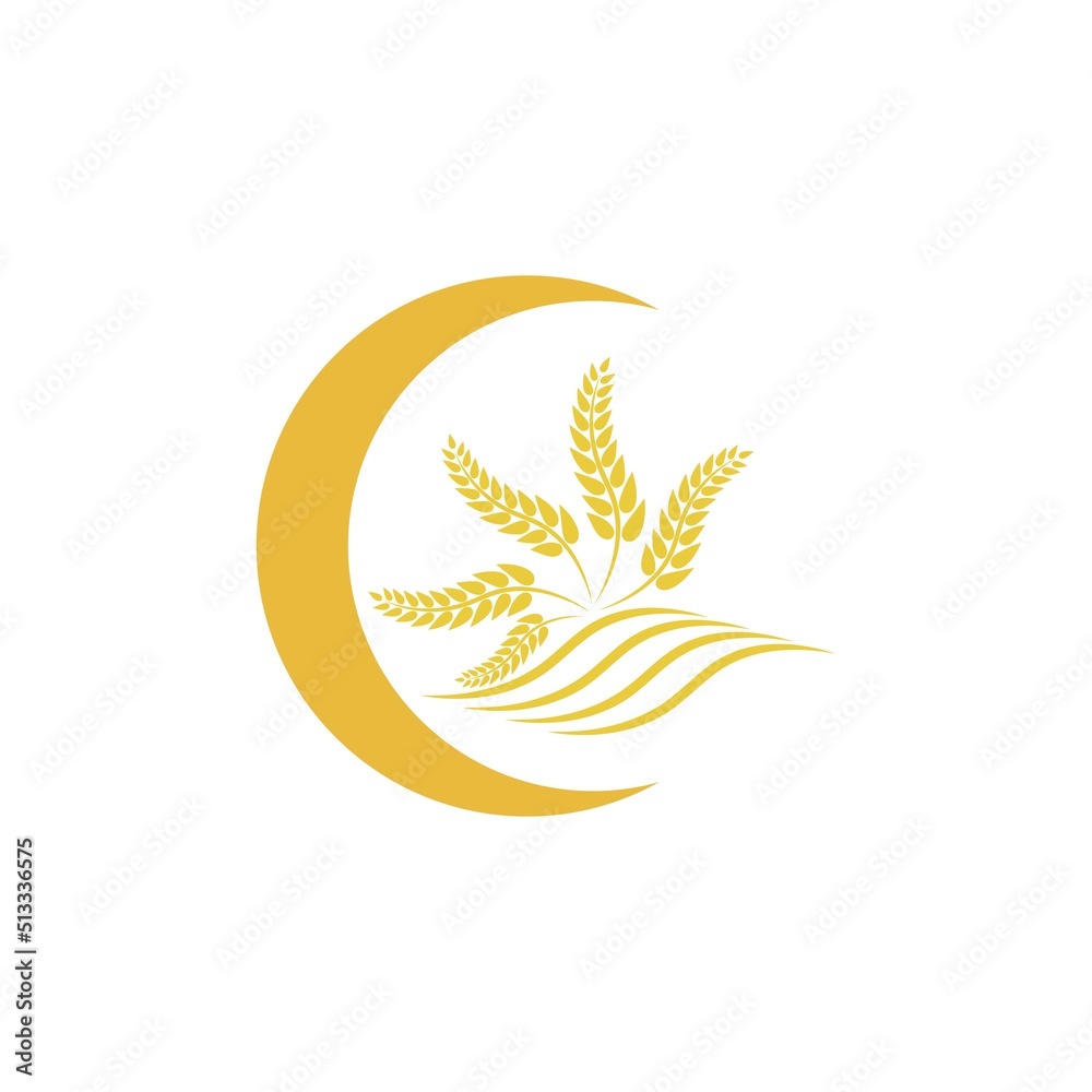 Fototapeta premium Wheat logo vector icon illustration