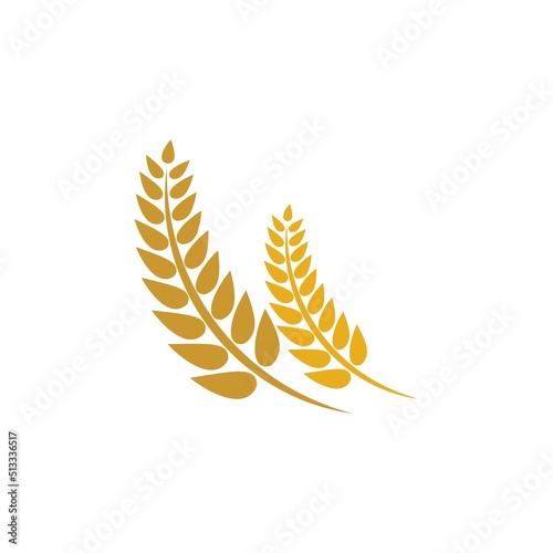 Wheat logo vector icon illustration