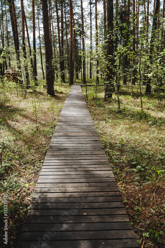 Wooden road of planks lies on the ground  ecological trail for hiking  recreation park  tourist route