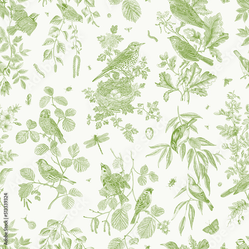 Garden Birds. Seamless pattern. Vector vintage illustration. Green and white photo