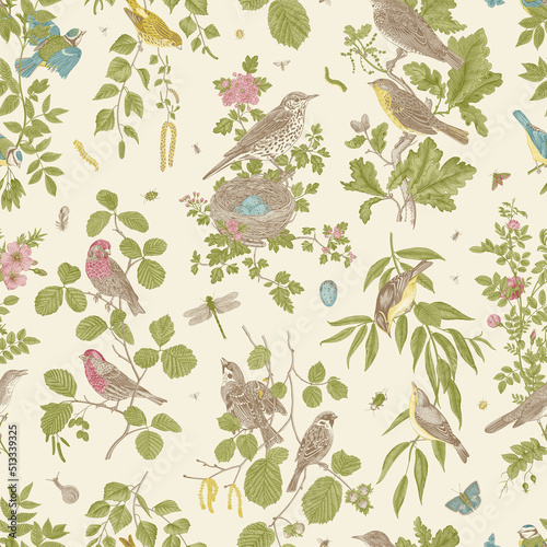 Garden Birds. Rustic. Seamless pattern. Vector vintage illustration.