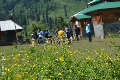 children playing in a field