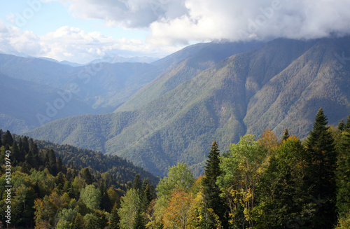 mountains and forest in autumn