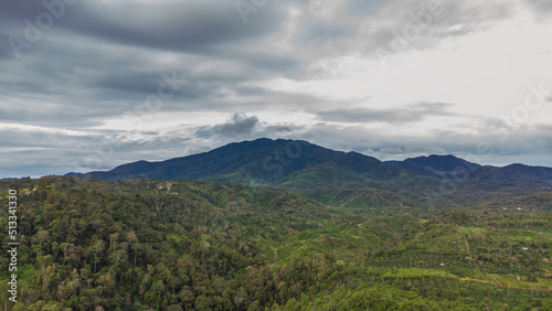 Aerial view of tropical forest  Aceh  Indonesia.