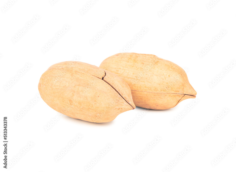 Two shelled pecans