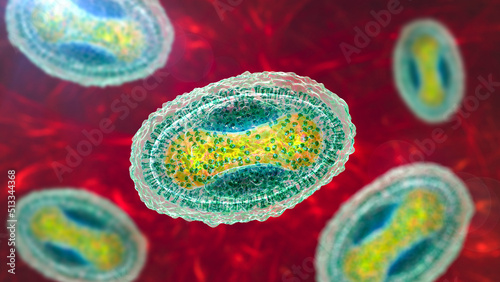 Molluscum contagiosum virus, 3D illustration photo