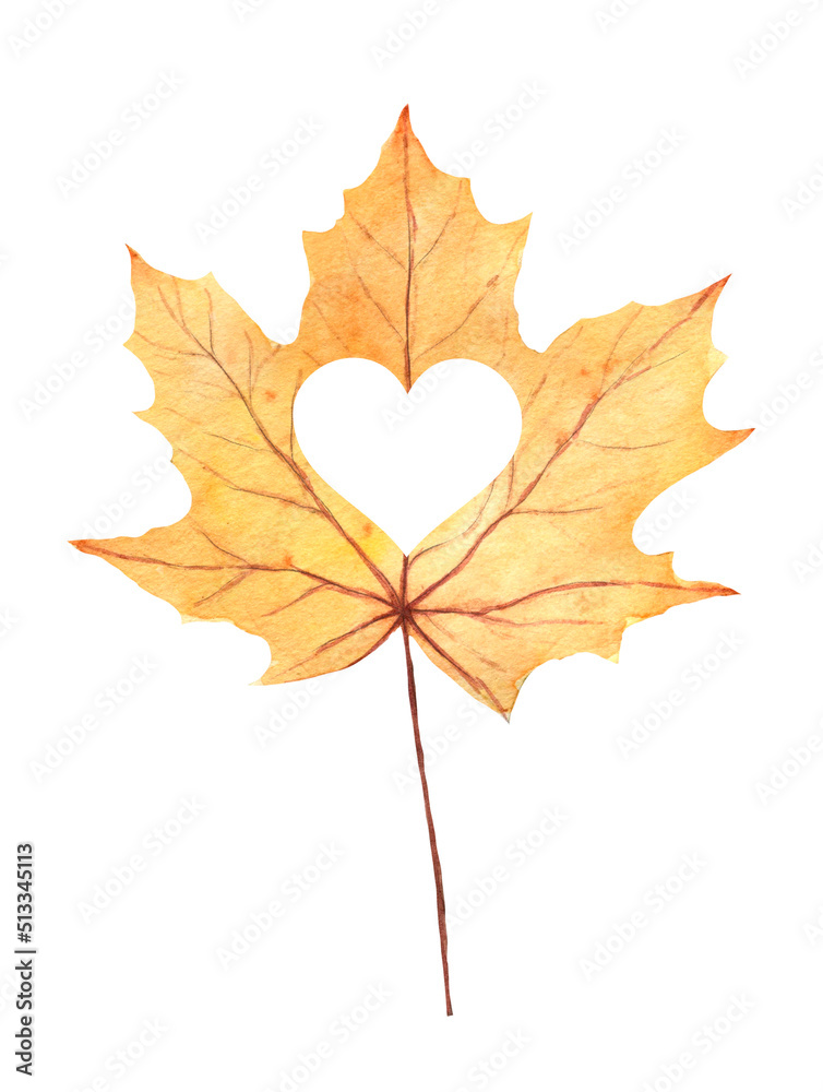 Obraz premium Yellow watercolor fall maple leaf with heart cutout illustration isolated on white background. Holiday autumn design for poster, print, greeting card