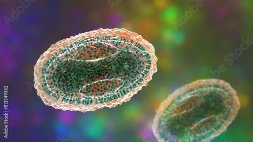 Variola virus, a virus from Orthopoxviridae family that causes smallpox photo