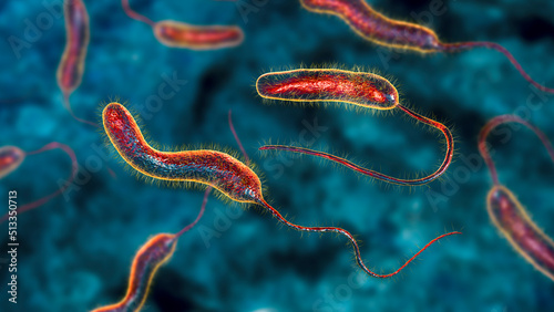 Vibrio cholerae bacteria, 3D illustration photo