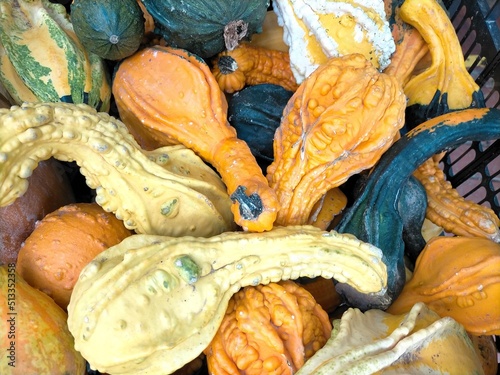 Various types, sizes and varieties of Gourds for sale at a Farmers Market. Colorful Gourds for sale. photo