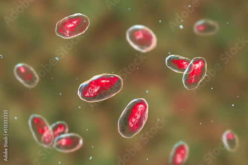 Yersinia pseudotuberculosis bacteria  3D illustration