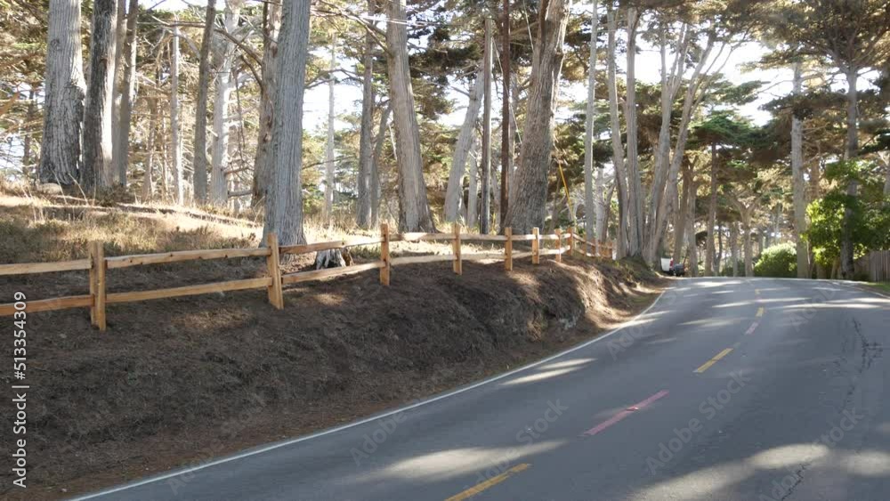 17-mile drive scenic road, Monterey peninsula, California, USA. Road trip thru cypress tree forest, coniferous evergreen pine woodland, grove or woods. Pacific coast highway tourist route near Big Sur