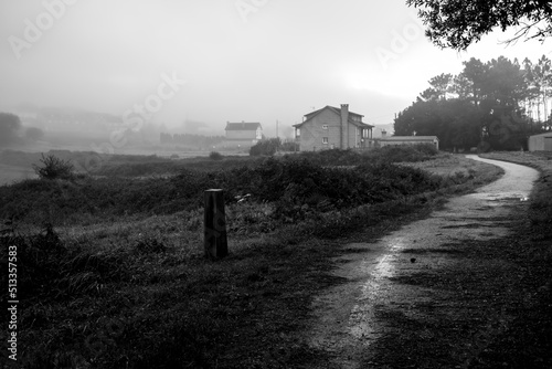 A country road on the Camino de Santiago Way, Galicia, Spain. Black and white photo.