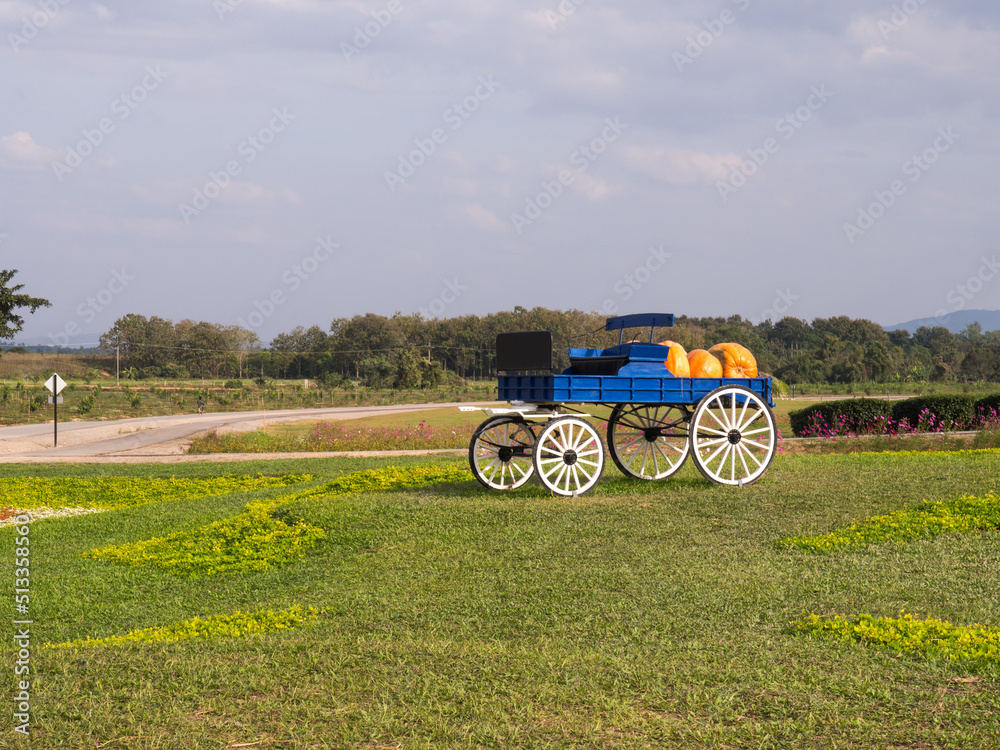 Colorful farm wagon in green meadow under cloudy sky