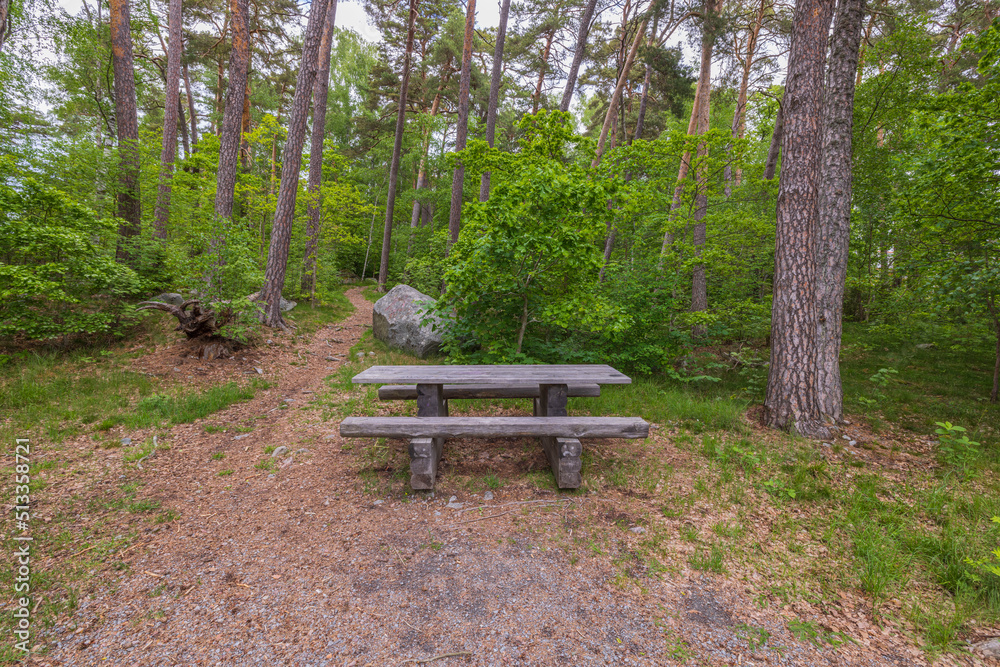 Close up view of table with bench on hiking trail in forest for rest. Sweden. Close up view of table with bench on hiking trail in forest for rest. Sweden.