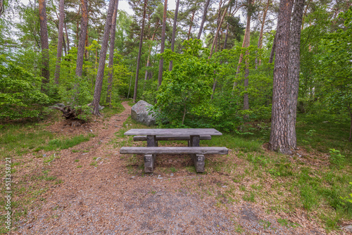 Close up view of table with bench on hiking trail in forest for rest. Sweden.