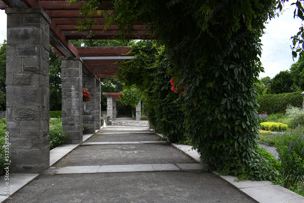 Garden alley with pergola, green plants and flowers