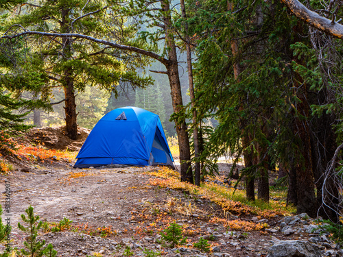 Campground With Blue Tent In Forest