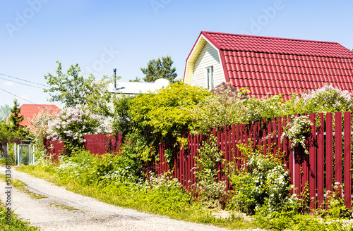 dirt road in summer cottage village in sunny day