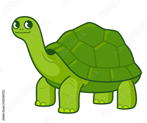 Cute cartoon giant tortoise drawing