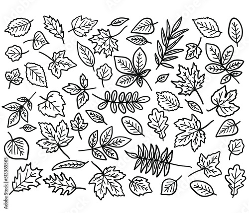 Cute leaves collection with doodle outline illustrations