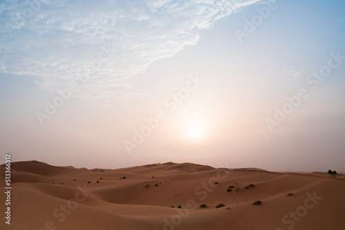 Sun rising over the magical orange sand dunes of Al Wathba desert in Abu Dhabi  United Arab Emirates.