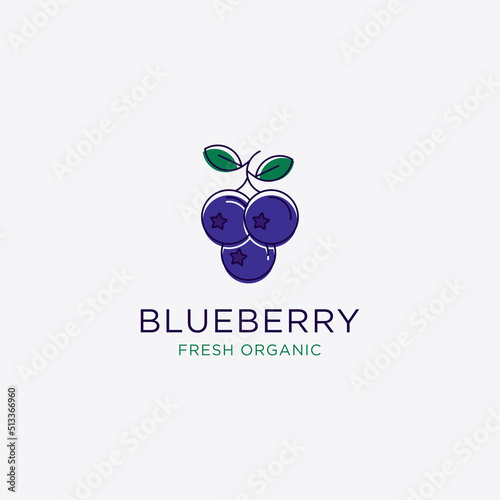 Blueberry Fruit logo design vector, Blueberry template illustration
