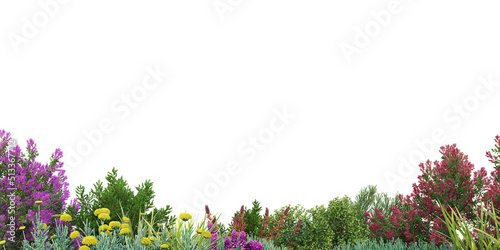 Plants and flowers with white background © jomphon