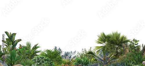 Plants and flowers with white background