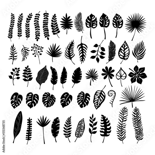 Silhouette leaves tropical set for print design Tropic foliage art background vector. Isolated plant illustration.