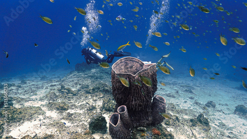 Fototapeta Naklejka Na Ścianę i Meble -  Beautiful and colorful coral reef with scuba diver in the background