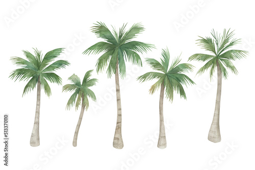 Watercolor palm trees set on white background. Hand drawn isolated  illustration