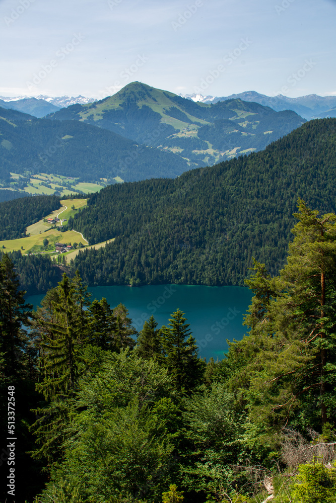 Lake Hinterstein and snow-capped mountains in the background