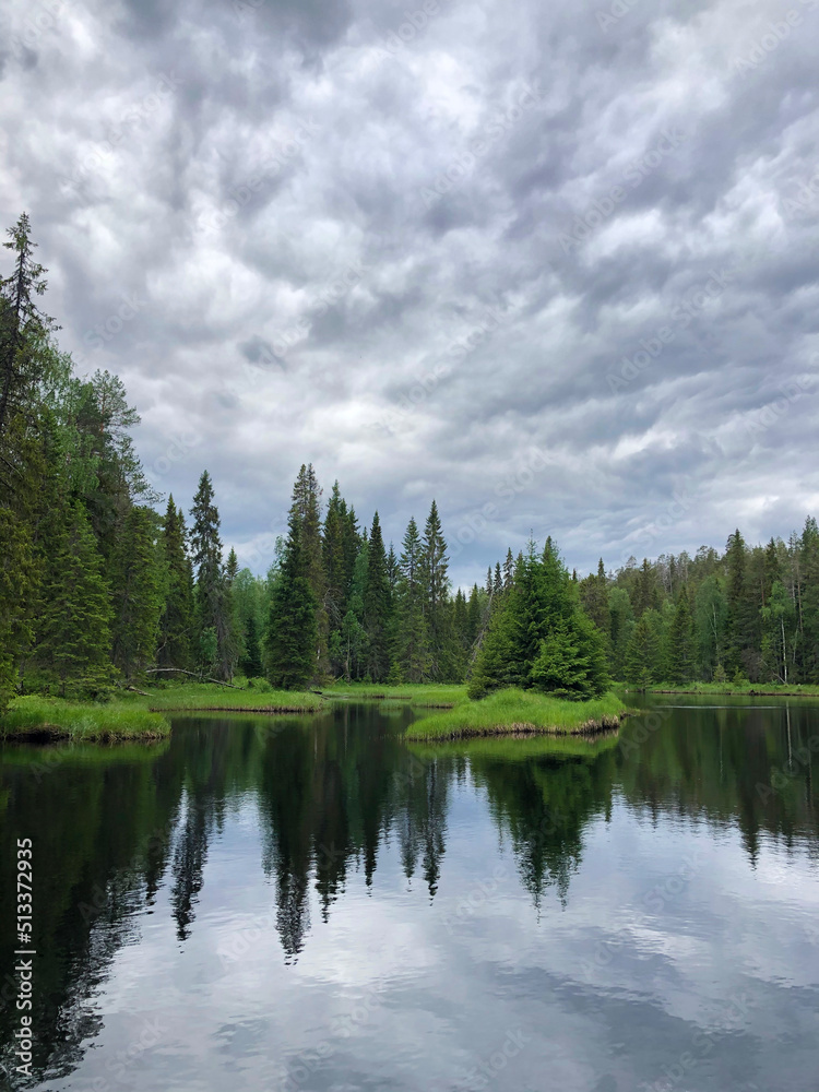 Fototapeta premium Beautiful forest lake. Panoramic view of beautiful lake landscape