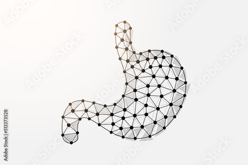 Stomach 3d low poly symbol with connected dots. Digestive system, human transplantation design vector illustration. Organ anatomy polygonal wireframe