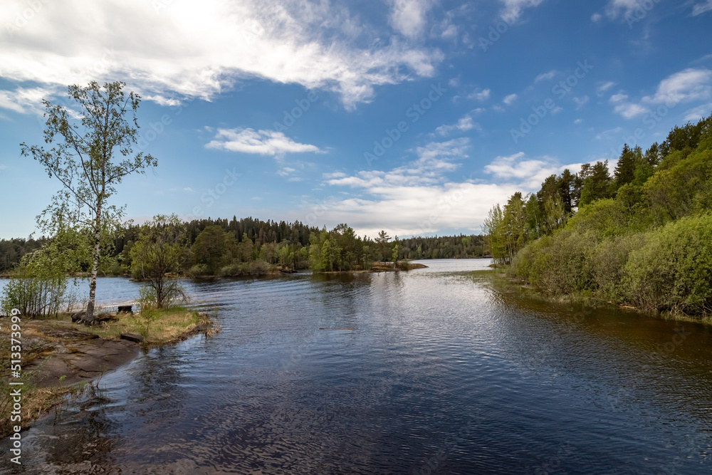 Nature of Valaam Island. Karelian landscapes.